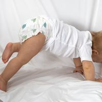 Eco Nappii Bamboo Nappies 2 (3-6Kg) / Single Sprout